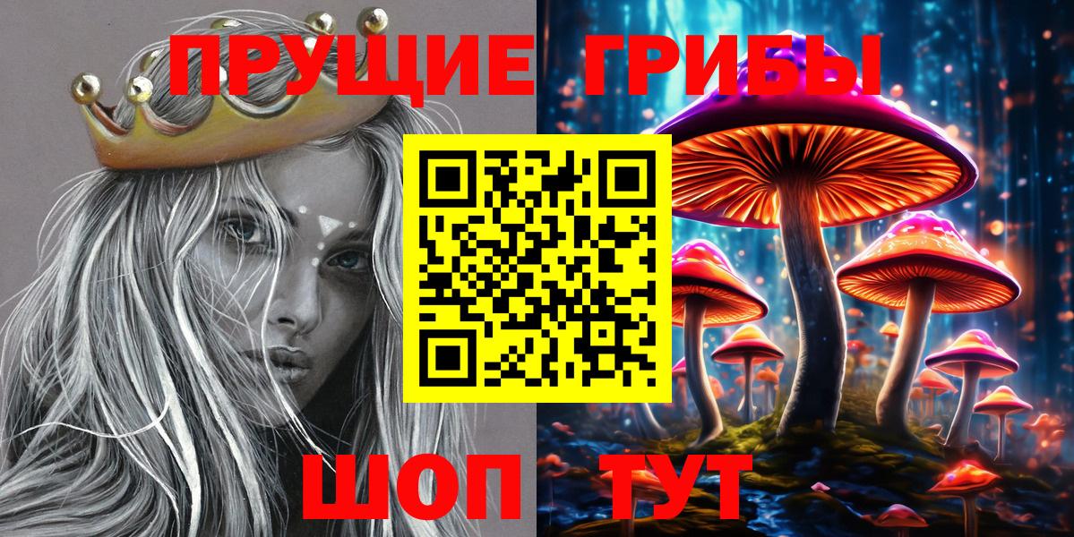 Псилоцибиновые грибы прущие грибы Ревда